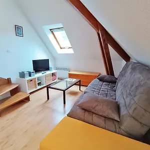 Chez Charlotte, T3 Duplex, Vue Montagne, Parking Gratuit, Ascenseur, 4 Personnes Appartement Bagnères-de-Luchon